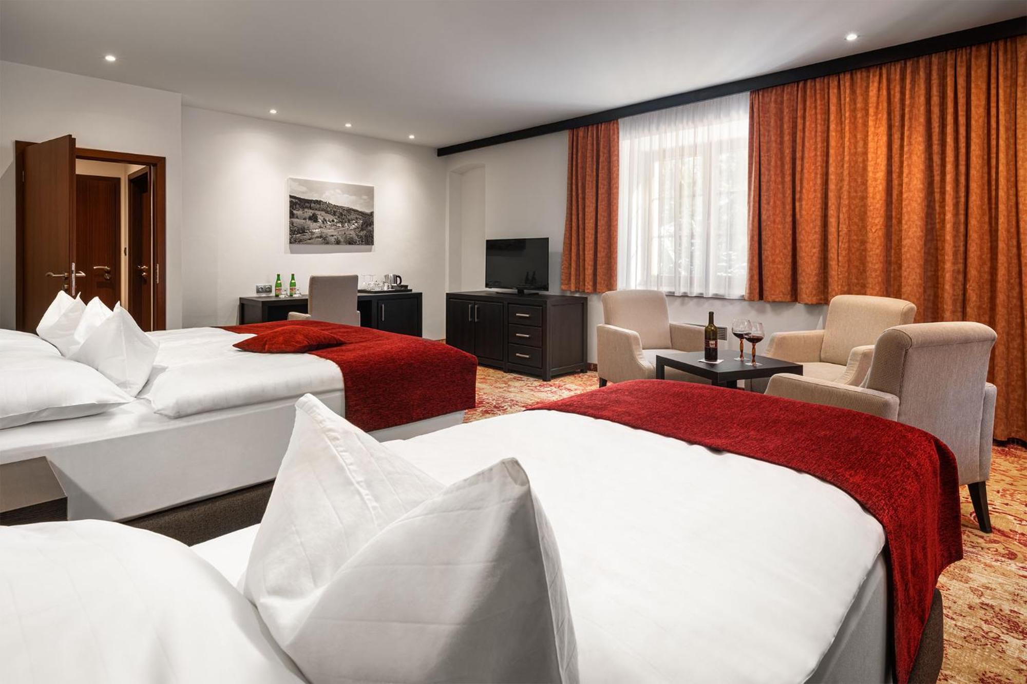 Hotel Singer Ludvíkov Cameră foto